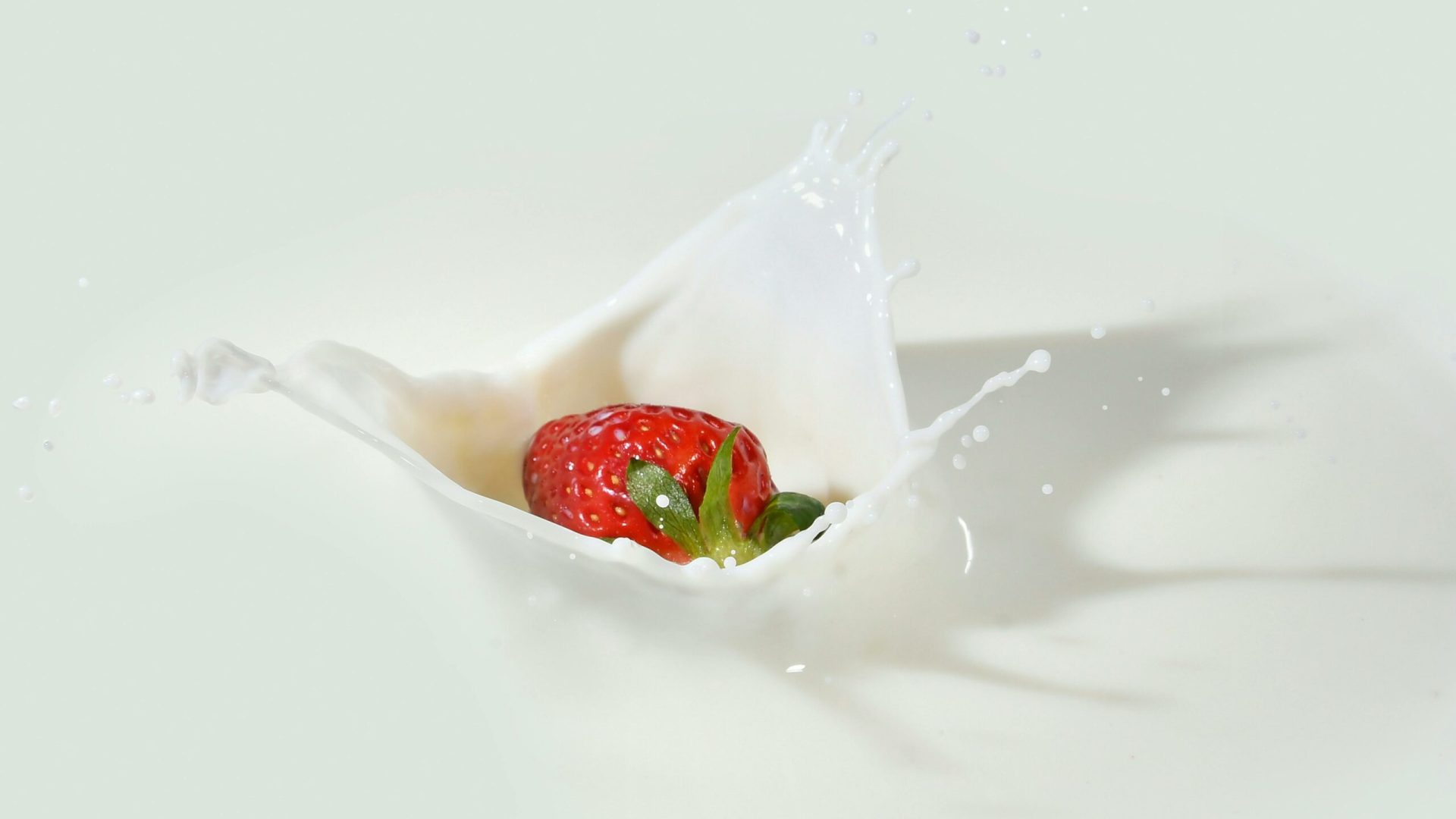 Strawberry drop on milk